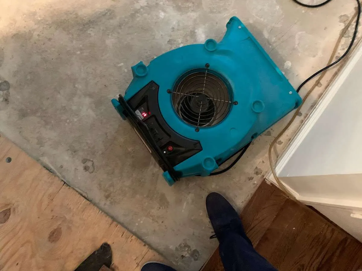 Air mover drying subfloor during Commercial Water Damage Restoration in Massanetta Springs